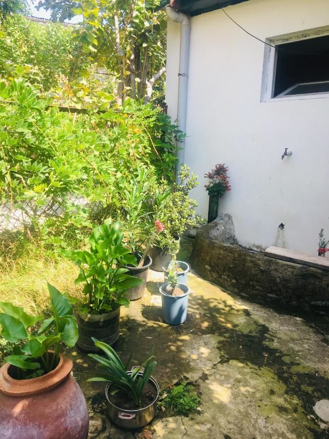 Гостевой дом Beautiful World Кутаиси-38